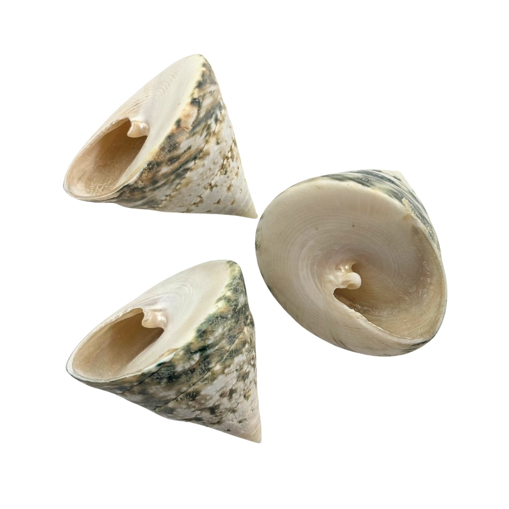 Pyramid Top Natural | EarthsElements Wholesale