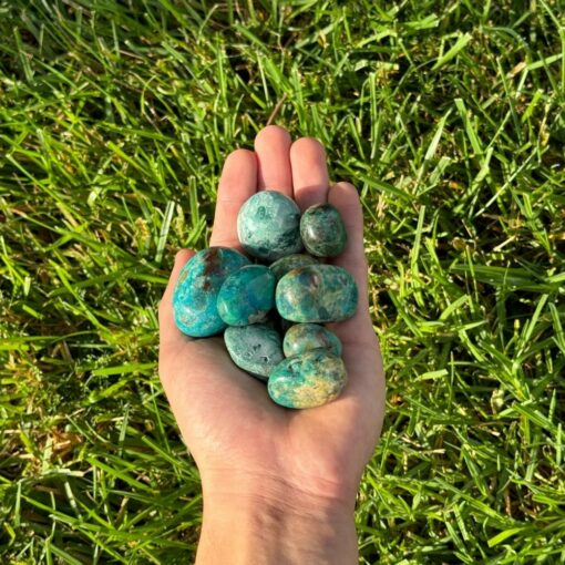 Tumbled Crystals - Chrysocolla, 2lbs - Image 2