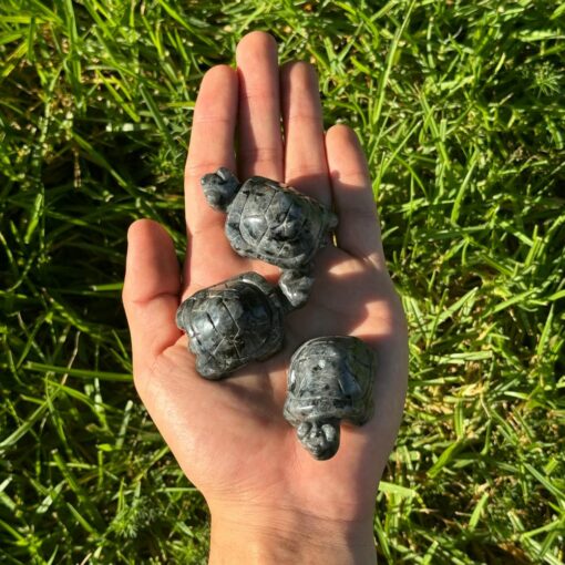 Crystal Turtle - Labradorite