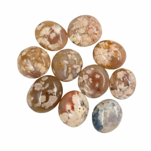 Palm Stone - Flower Agate, 2 lb