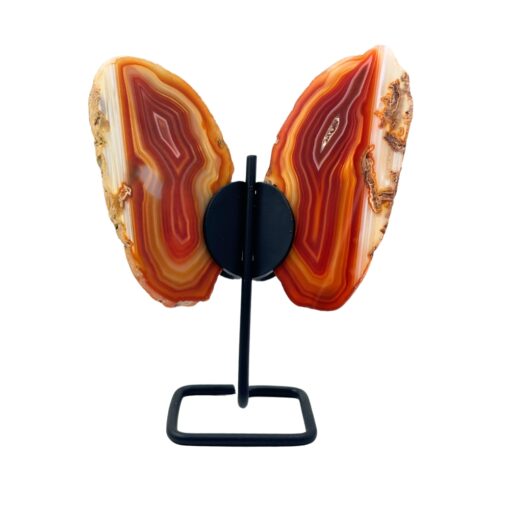 Shaped Crystals - Agate Slice Butterfly, Asst. - Image 7