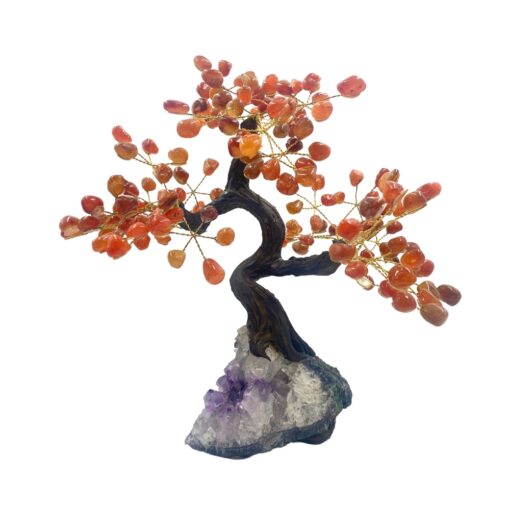 Feng Shui Money Tree - Carnelian, Large