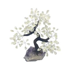 Feng Shui Money Tree - Clear Quartz, Large