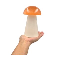 Selenite - Lamp, Mushroom