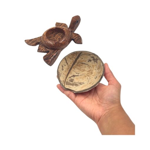 Trinket Holder - Wood Turtle - Image 4