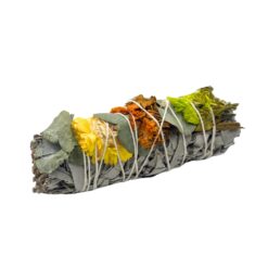 Flower Sage - Orange/Yellow