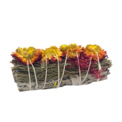 Flower Sage - Orange/Cedar