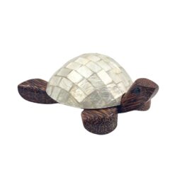 Trinket Holder - Wood Turtle