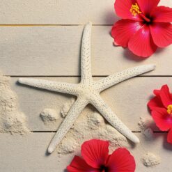 White Finger Starfish