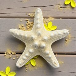 White Knobby Starfish